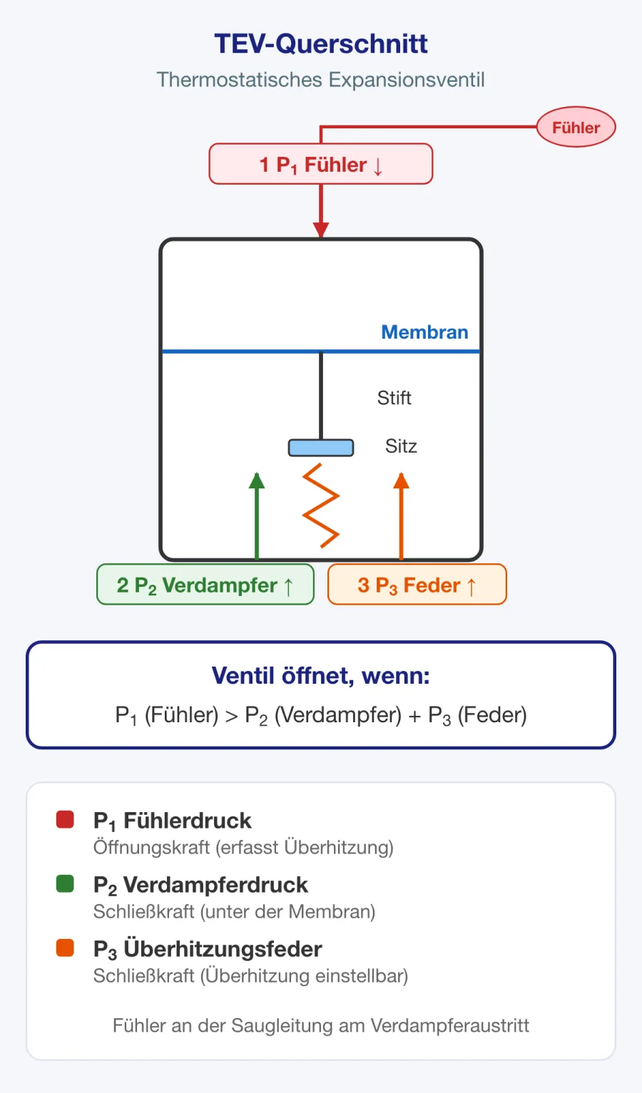Querschnitt eines thermostatischen Expansionsventils mit Fühler, Membran, Feder und Anschluss für den äußeren Druckausgleich