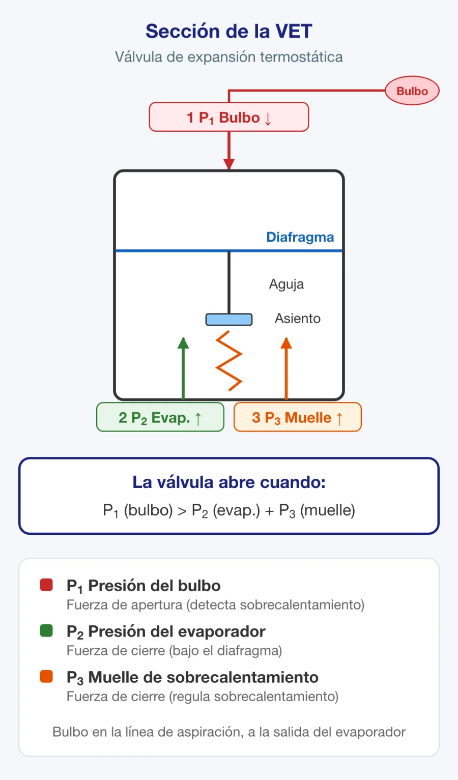 Sección de una válvula de expansión termostática con bulbo, diafragma, muelle y orificio