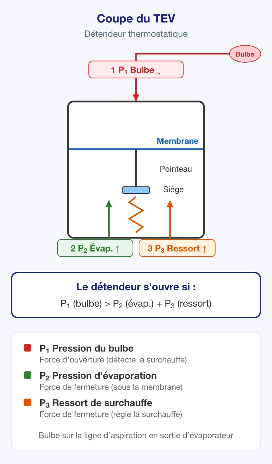 Coupe d’un détendeur thermostatique montrant le bulbe, la membrane, le ressort et le raccord d’égalisation externe