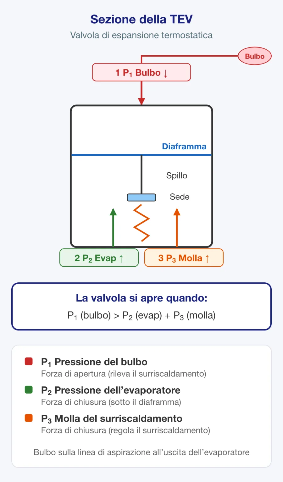Sezione di una valvola di espansione termostatica con bulbo, membrana, molla e collegamento dell’equalizzatore esterno