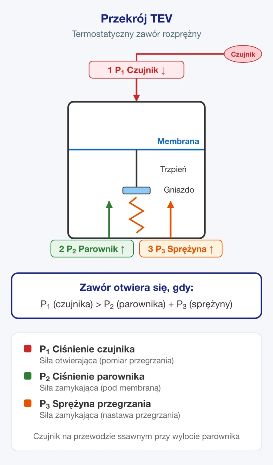 Przekrój termostatycznego zaworu rozprężnego przedstawiający czujnik, membranę, sprężynę i przyłącze zewnętrznego wyrównania ciśnienia